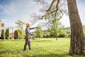 How Our Tree Care Process Works  in  Syracuse, UT